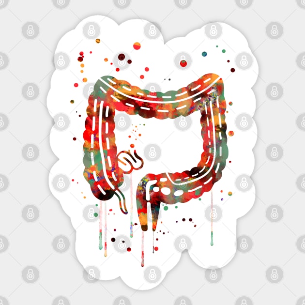 Lower gastrointestinal tract Sticker by RosaliArt